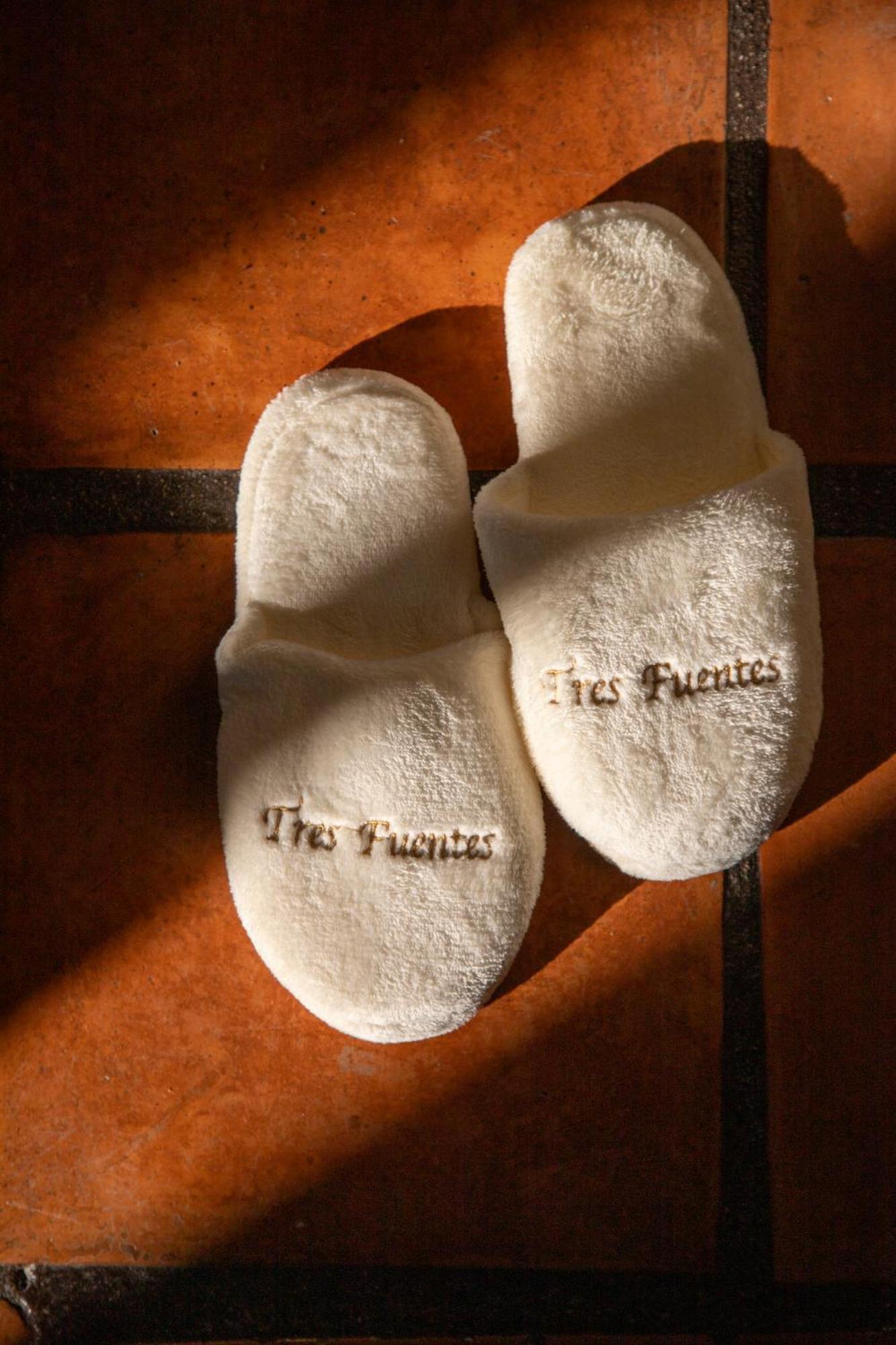 Tres Fuentes Dickinson Hotel Boutique San Miguel de Allende Zewnętrze zdjęcie